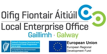 LEO Galway with EU Symbol Logo